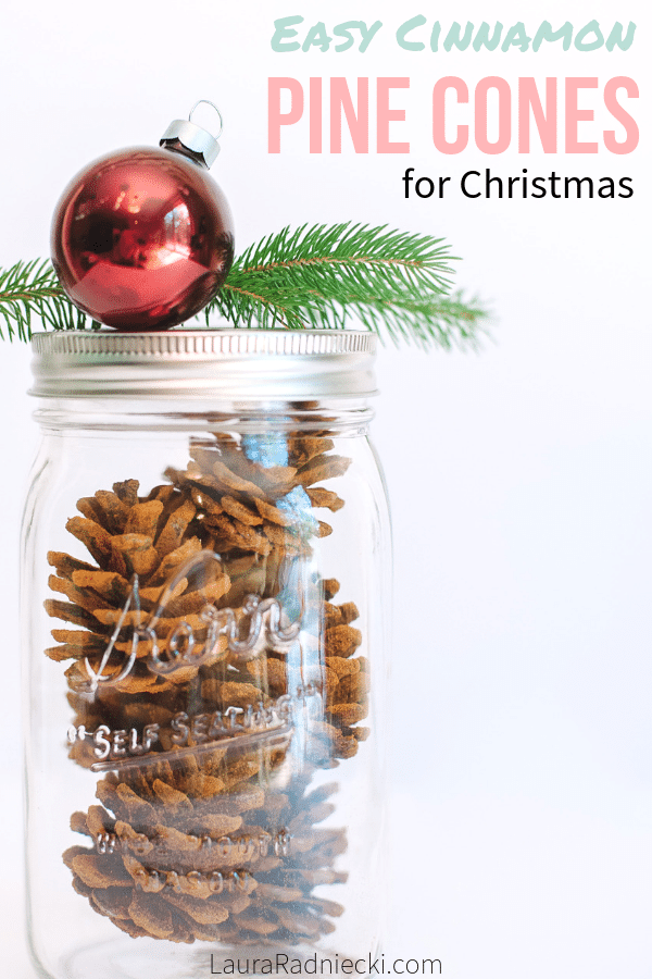 How to Make Cinnamon Pinecones | Holiday and Christmas Decor