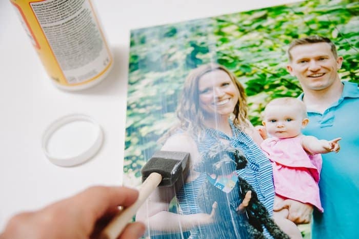 A foam brush, brushing Mod Podge onto the top of a photo of a young family to make a DIY canvas print.