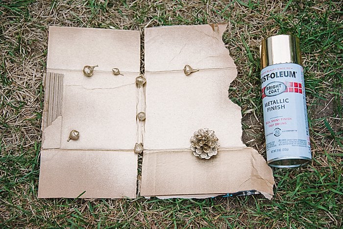 Gold pinecones with rustoleum spray paint.