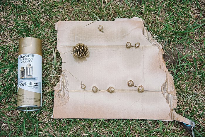 Spray painting pinecones gold.