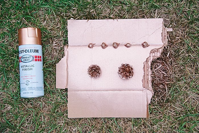 spray paint acorns and pine cones rose gold