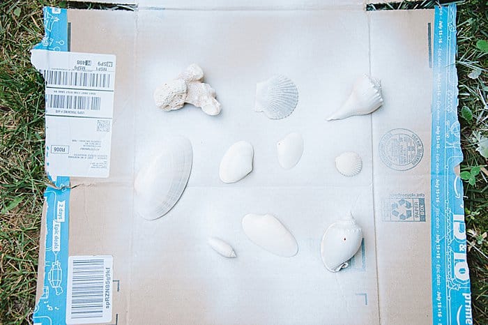 prime sea shells with white spray paint primer