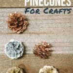 How to paint pinecones for crafts.