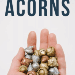 How to Paint Acorns for Crafts and Decorations