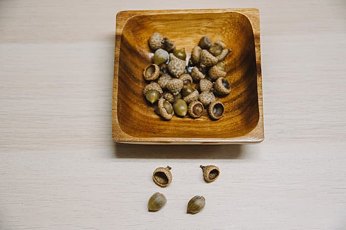 Preparing acorns for crafts may loosen some caps. They can be glued back on.