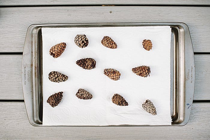 Let pine cones air dry on paper towel lined cookie sheet until fully dry and open.