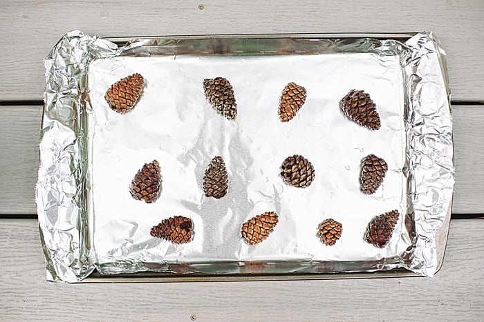 Aluminum foil-lined cookie sheet with closed up, wet pinecones laying on it.