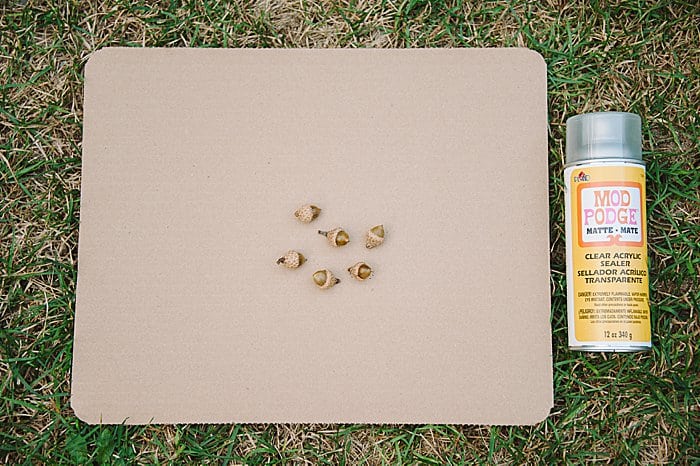 coat acorns with clear acrylic sealer for how to make acorns shiny