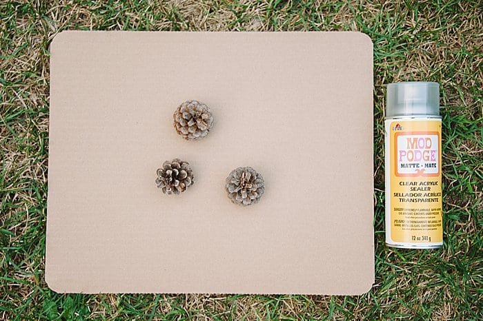 Preserve painted pinecones with clear acrylic sealer.