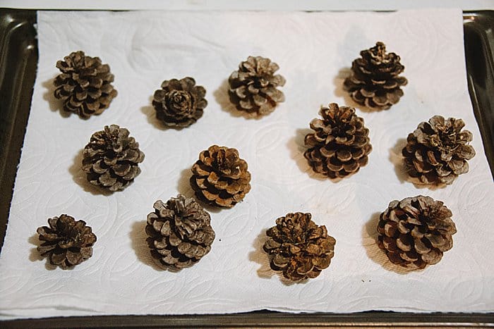 Cookie sheet lined with paper towels, and open, dry pinecones on it.