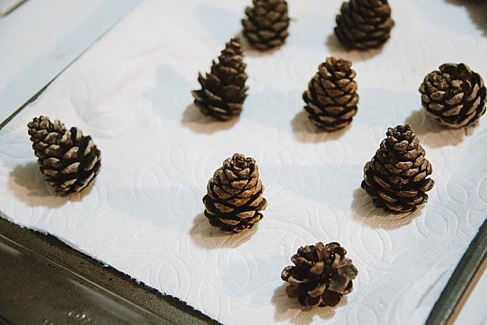 Pine cones close when they're wet. They open when they dry out.