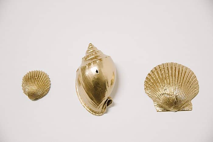 gold painted seashells