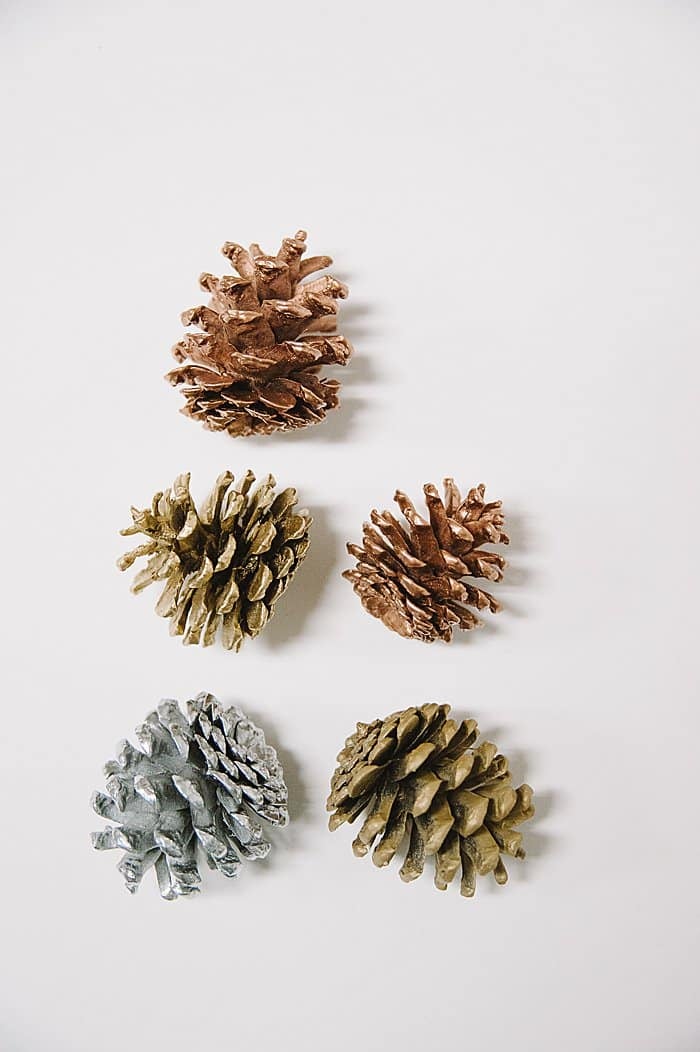 gorgeous painted pine cones