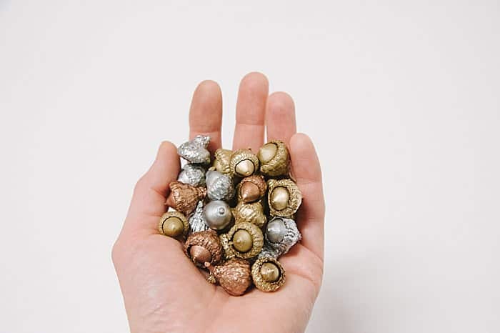 spray painted metallic acorns