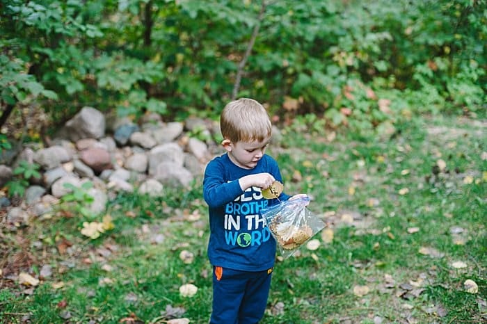 pick up leaves off the ground and use for leaf crafts for kids