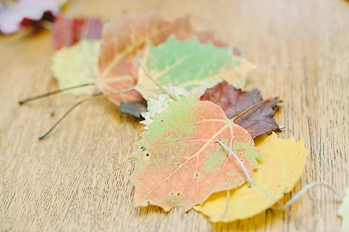 beautiful DIY garland for fall with autumn leaves