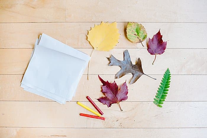 supplies for leaf rubbing craft