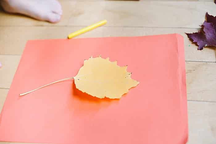 lay leaf down on hard surface for leaf rubbing craft