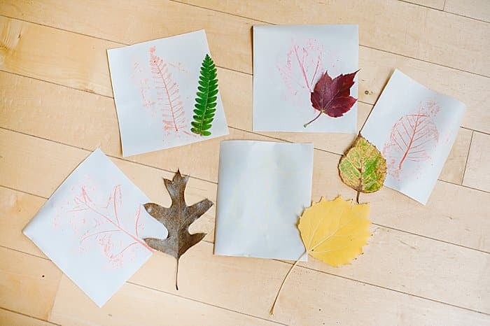 leaf rubbing art project