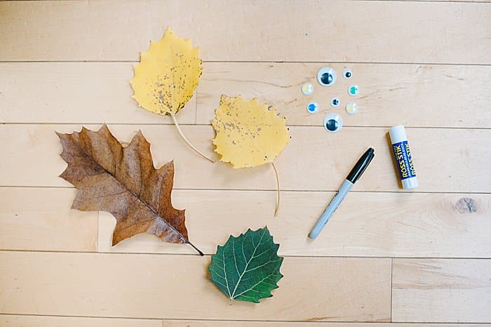 supplies needed to make leaf monsters or leaf puppets