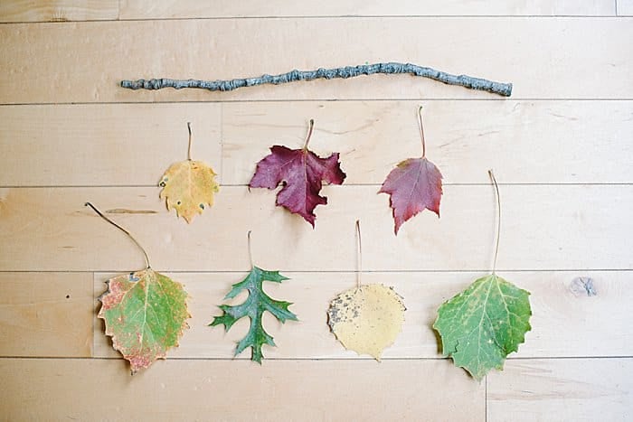 decide on the order of leaves for the wall art