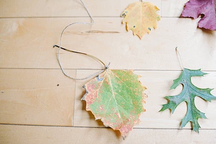 tie twine around the base of each of the fallen autumn leaves