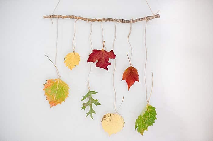 How to Make a DIY Leaf Wall Hanging with Autumn Leaves