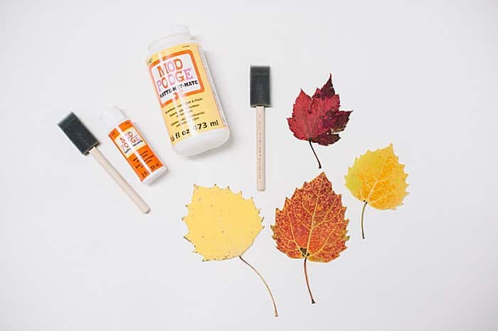 Supplies to make easy diy mod podge leaves.