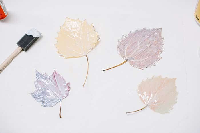 Flip leaves over and paint a layer of mod podge on the back.