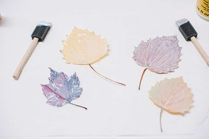 Paint another coat of mod podge on the front of the leaves to preserve them.