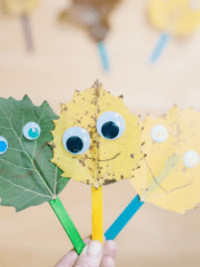 Easy Leaf Rubbing for Kids - Laura Radniecki