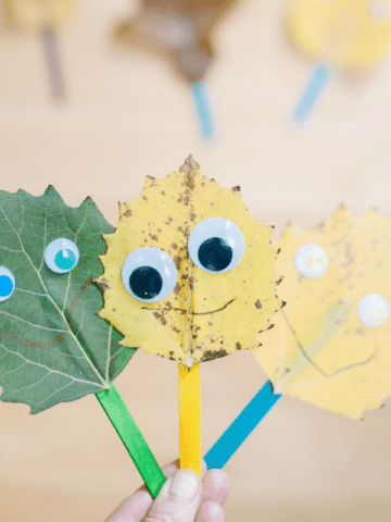 A Leaf Monster Craft for Kids _ DIY Leaf Puppets are an easy fall leaf craft perfect for kids.