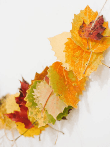 Easy DIY Leaf Garland | Leaf Crafts for Kids