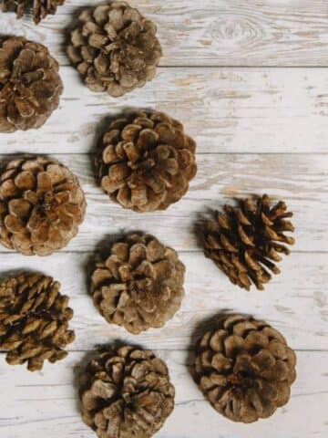 Pinecones laying on a whitewashed wooden surface.