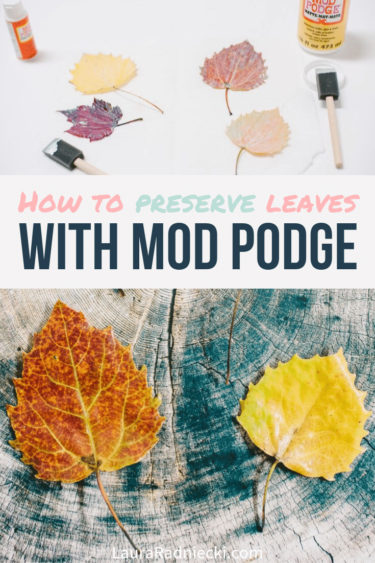 How to Make DIY Mod Podge Leaves to Preserve for Fall Crafts