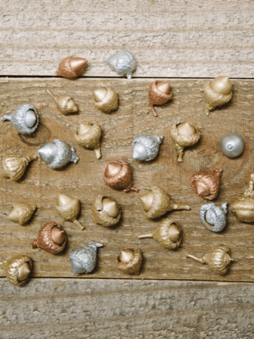 How to Paint Acorns for Crafts and Decorations