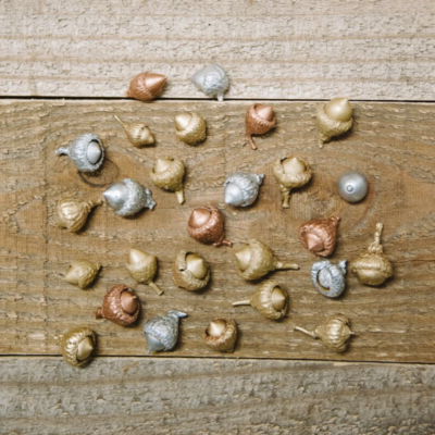 How to Paint Acorns for Crafts and Decorations
