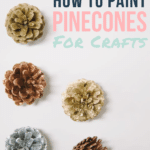 How to Paint Pine Cones for Crafts and Decorations