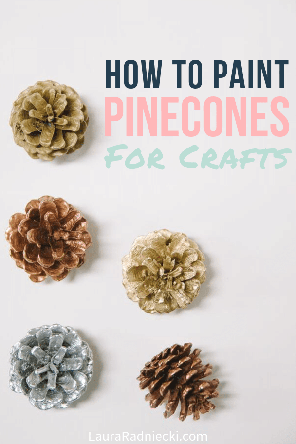 How to Paint Pine Cones for Crafts and Decorations