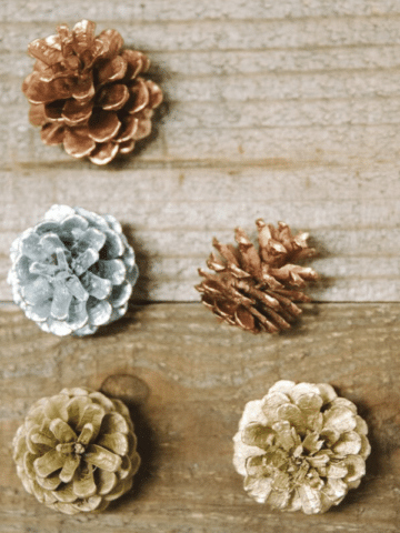 How to Paint Pine Cones for Crafts and Decorations