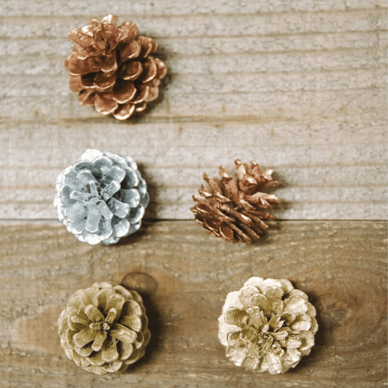 Painted on sale pine cones