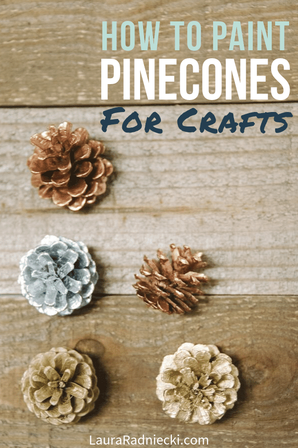 How to Paint Pinecones for Crafts and Decorations