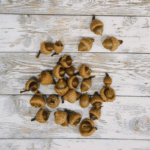 How to Prepare Acorns for Crafts