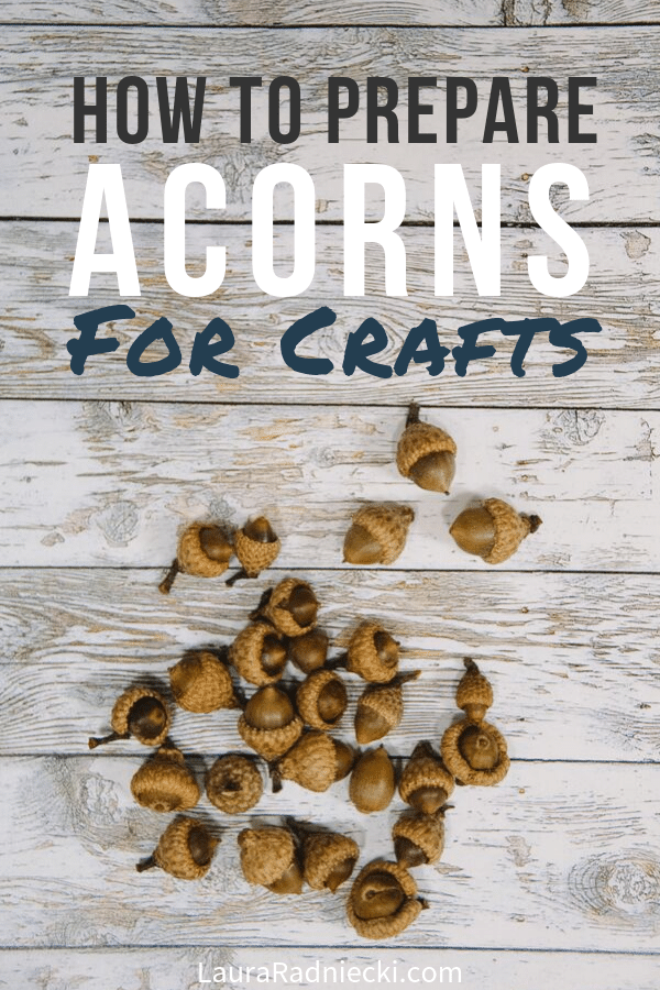 How to Prepare Acorns for Crafts