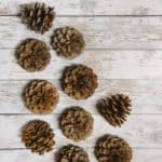 How to Prepare Pinecones for Crafts