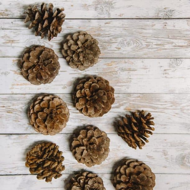 How to Prepare Pinecones for Crafts.