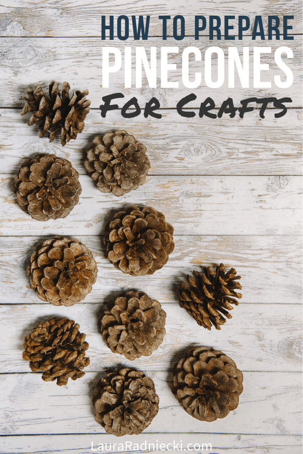 How To Use Pine Cones For Home Decor  Pine Cone Decoration Crafts 