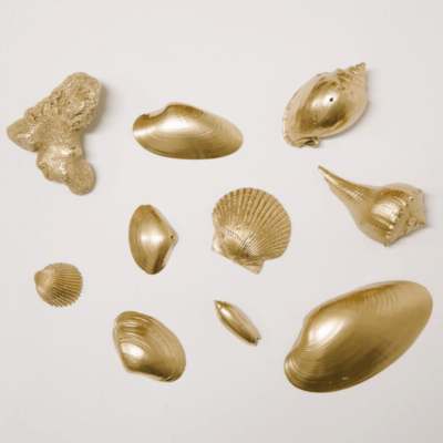 How to Spray Paint Seashells | DIY Gold Painted Seashells