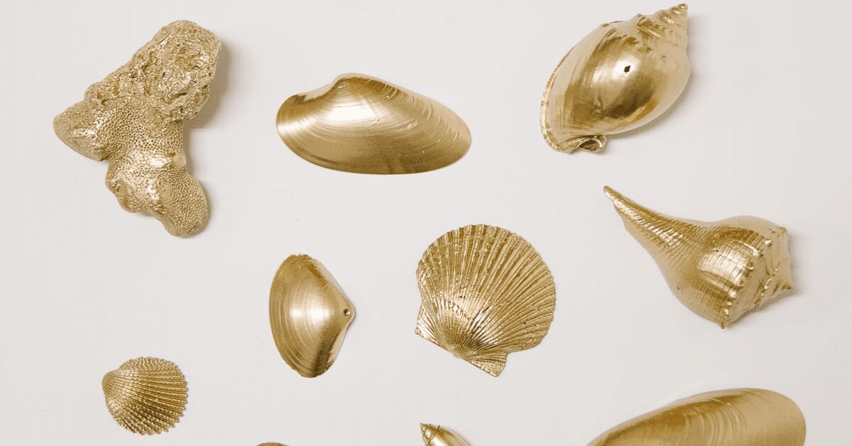 How to Spray Paint Seashells DIY Gold Painted Seashells