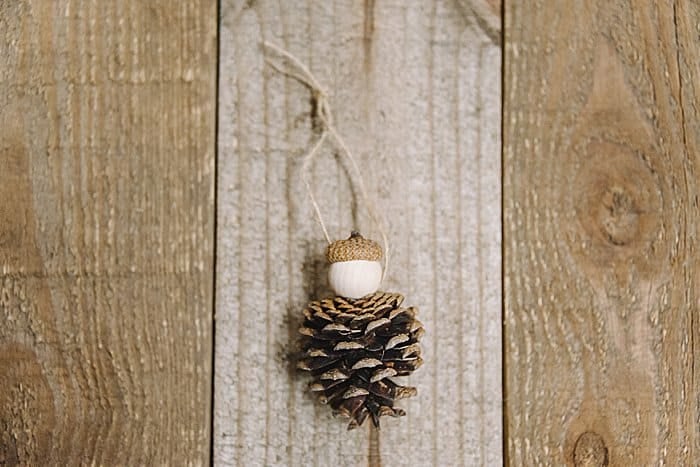 Day 10: How to Make a Pine Cone Ornament | The 30 Days of Ornaments Project | Pine cone people